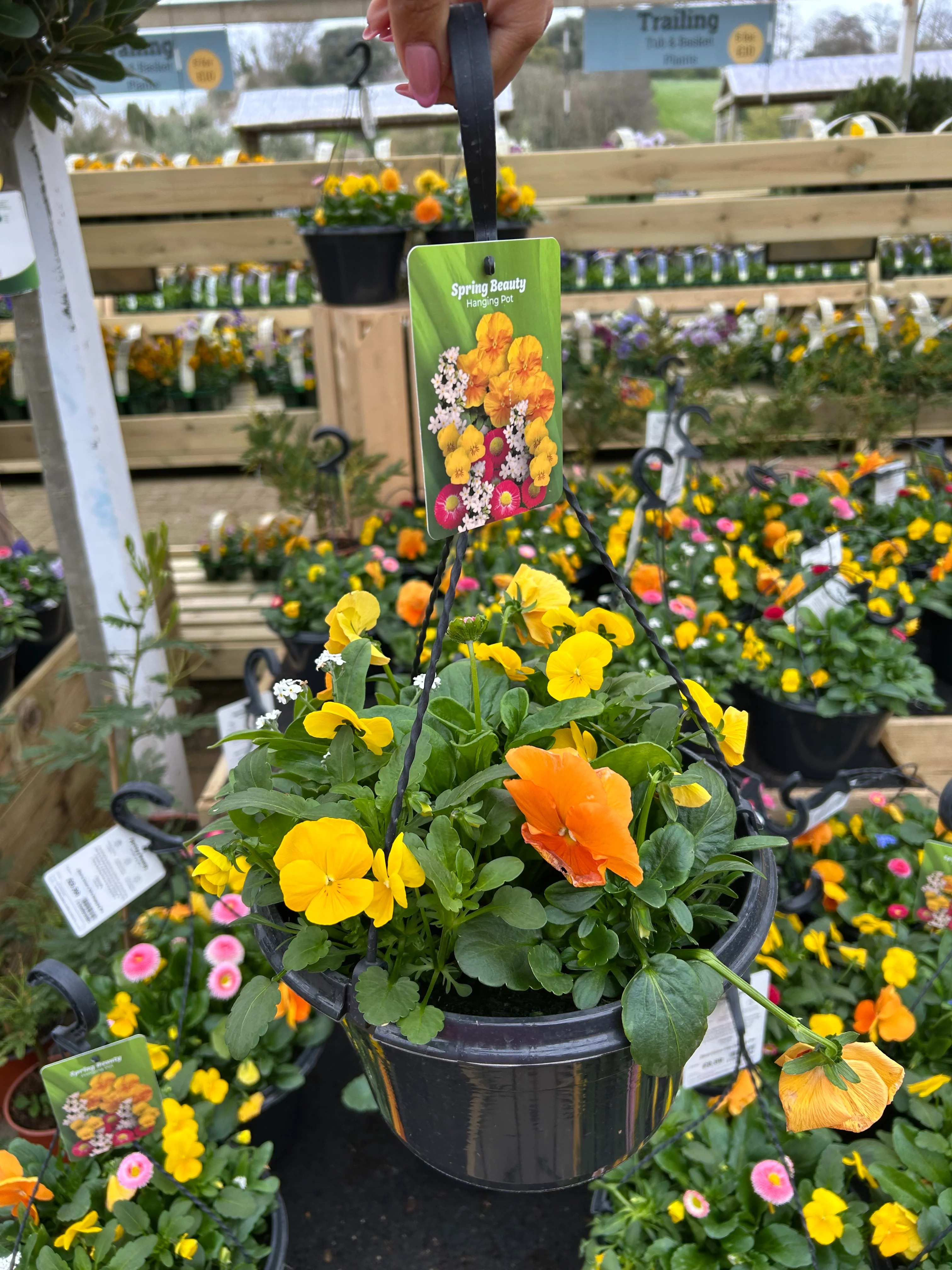 25cm Hanging Pot - 4 colour options - Image 3