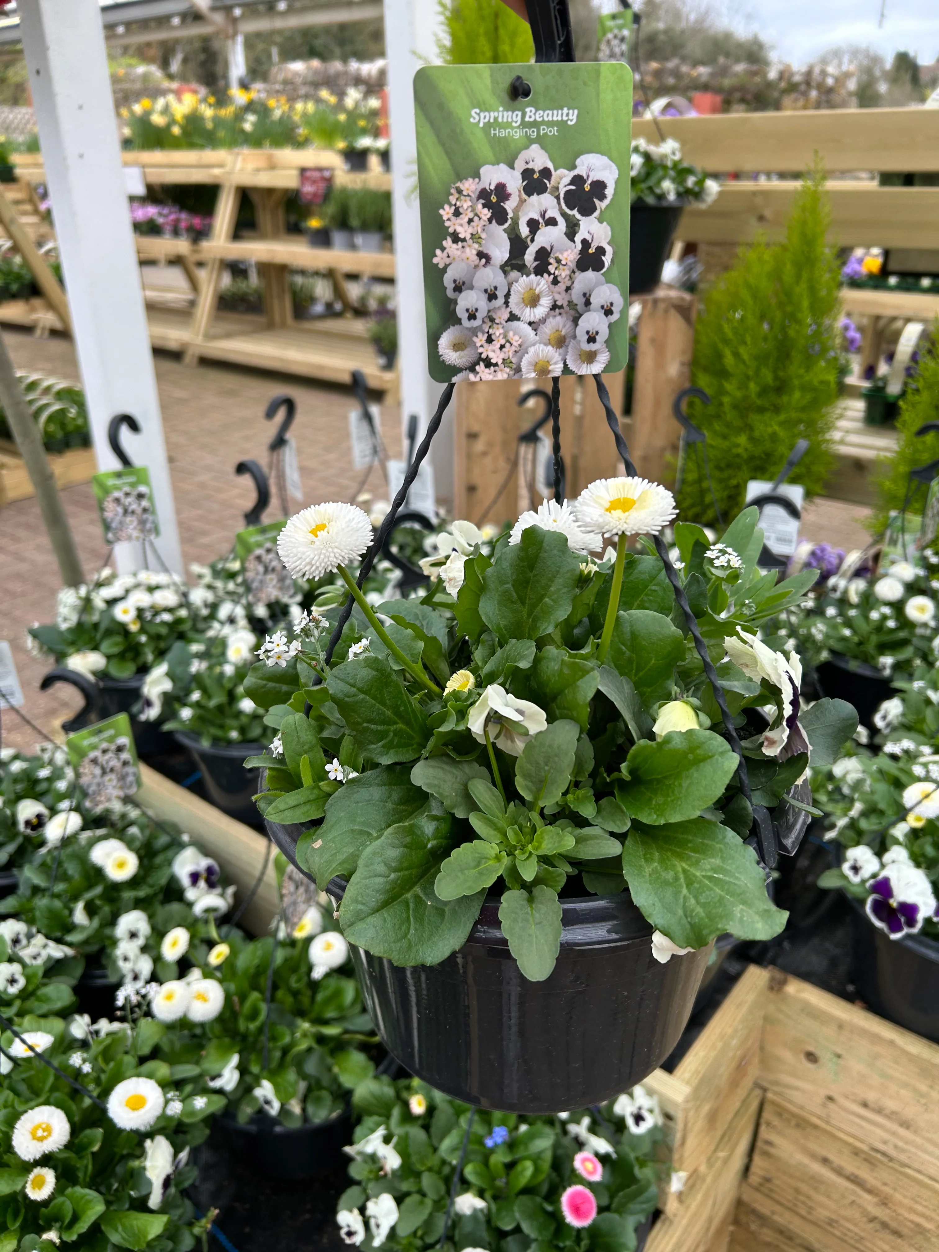 25cm Hanging Pot - 4 colour options - Image 4