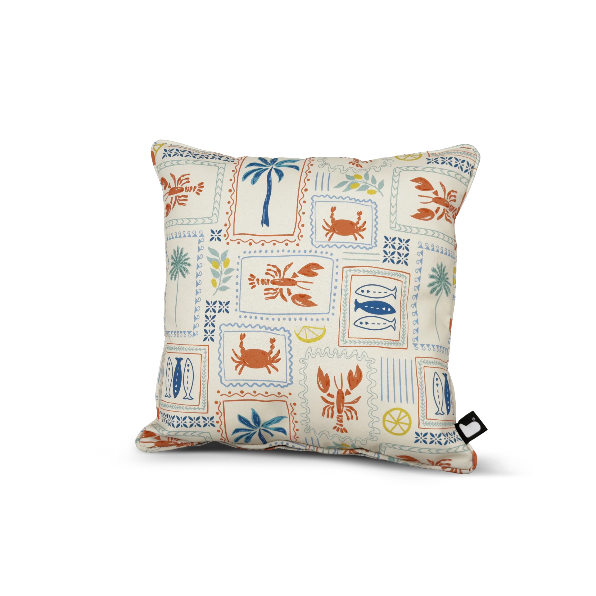 B cushion costal