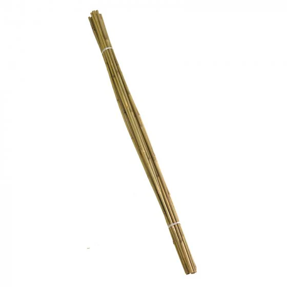 Bamboo Canes Bulk Bundle 20pk - Image 3