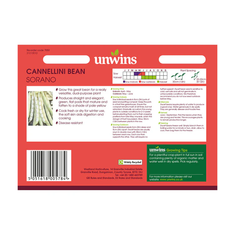 Cannellini Bean Sorano - Image 2