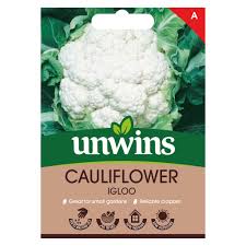 Cauliflower Igloo