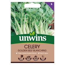 Celery Golden Self Blanching