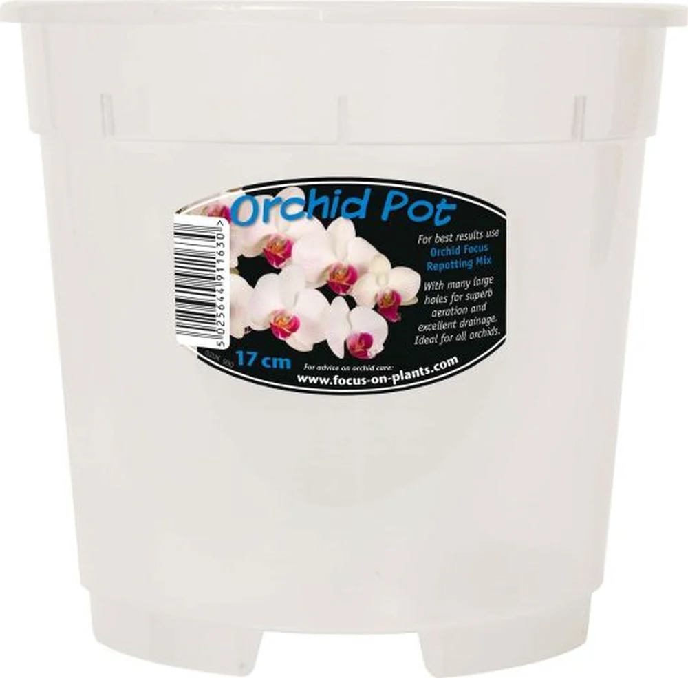 Clear Orchid Pot - Image 3