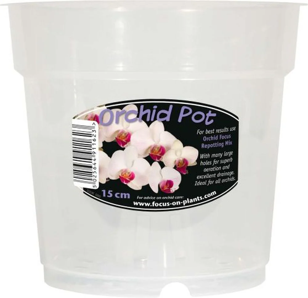 Clear Orchid Pot - Image 4
