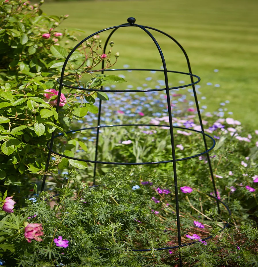 Flower & Plant Cloche - Small