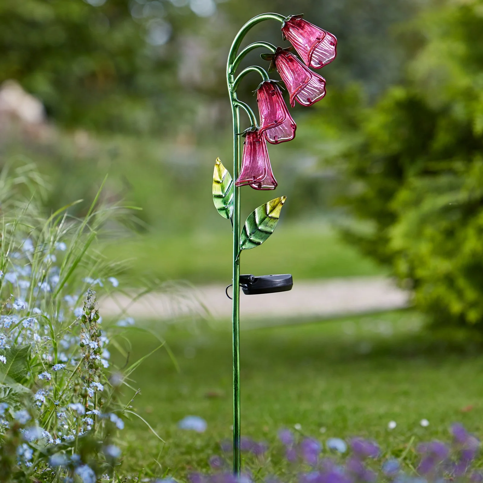 Foxglove - Image 2