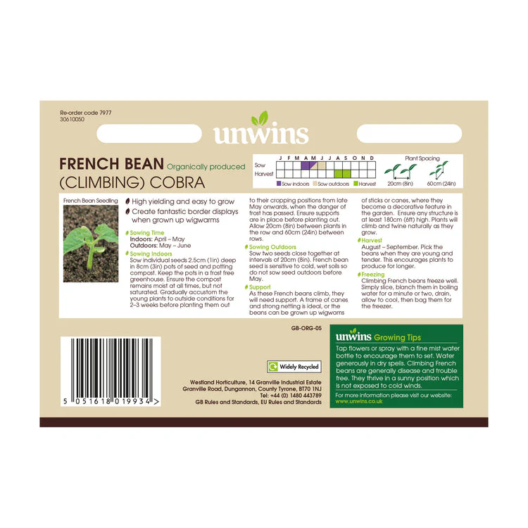 French Bean Climbing Cobra - Image 2