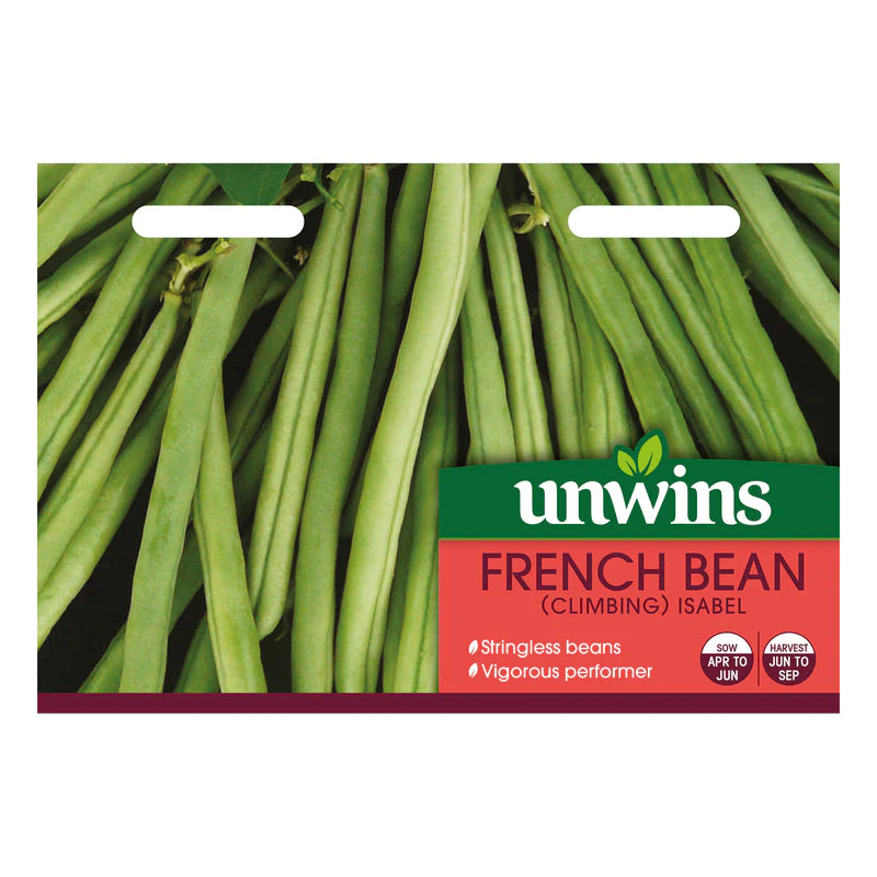 French Bean (Climbing) Isabel