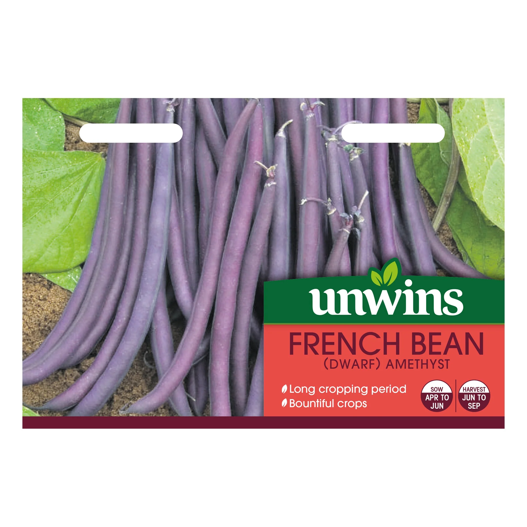 French Dwarf Bean Amethyst Gro-Sure