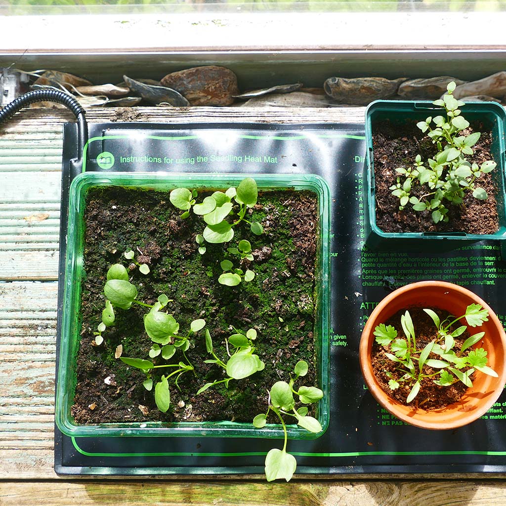 Gro-Sure Heated Propagation Mat - Image 3