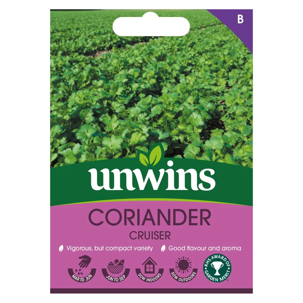 Herb Coriander Cruiser