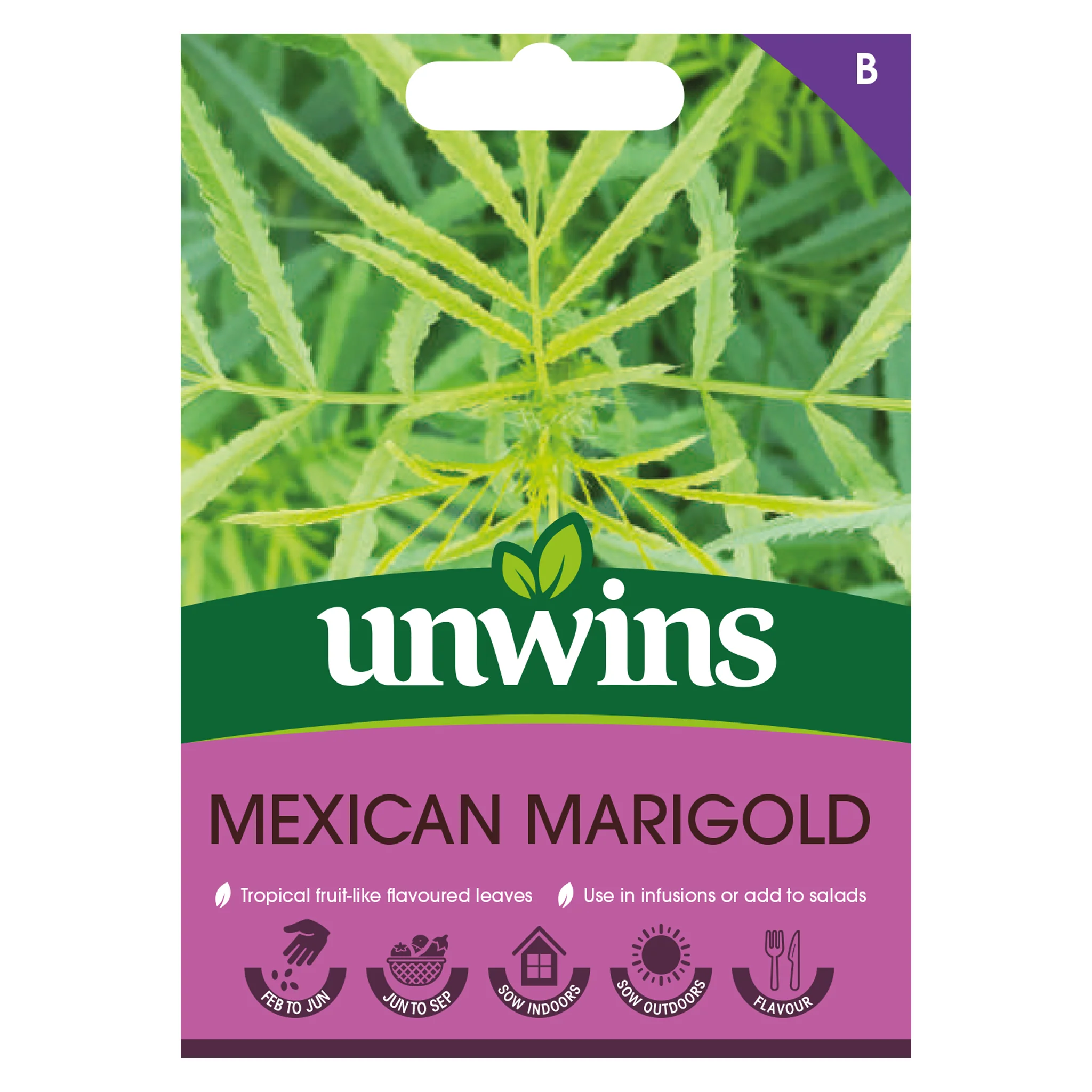 Herb Mexican Marigold