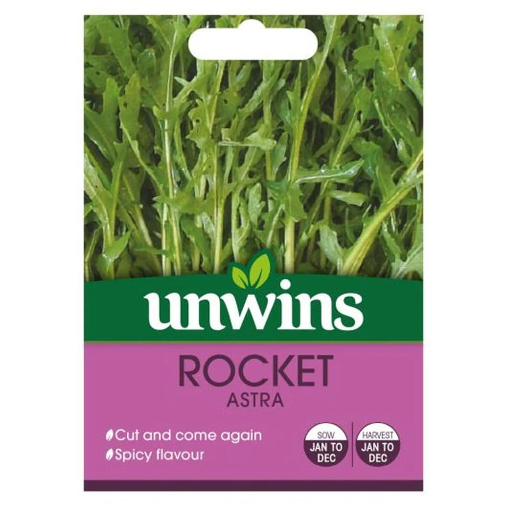 Herb Rocket Astra