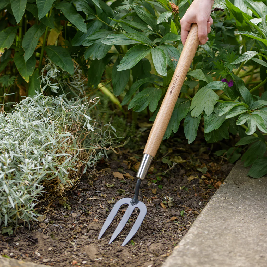 Kent & Stowe Carbon Steel Border Hand Fork - Image 2