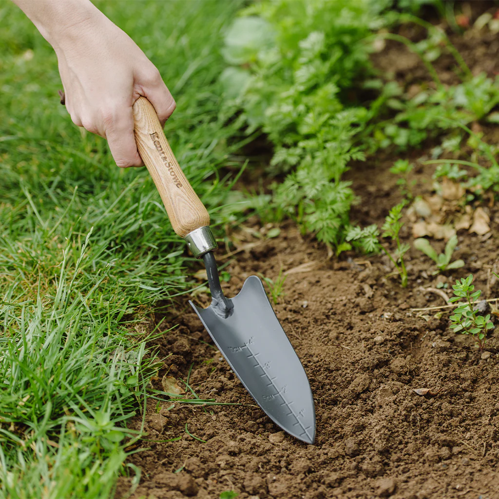 Kent & Stowe Carbon Steel Hand Transplanting Trowel - Image 2