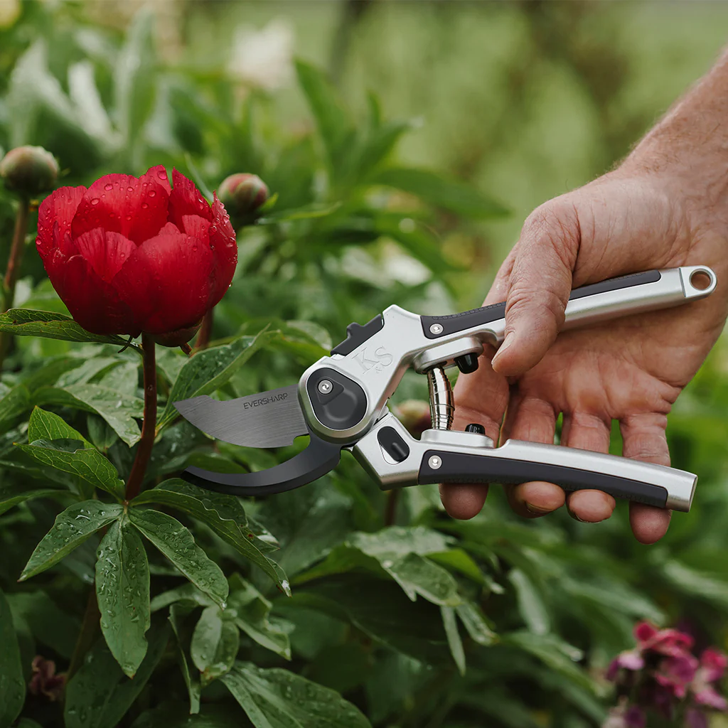 Kent & Stowe Eversharp Hardwood Anvil Secateurs - Image 3