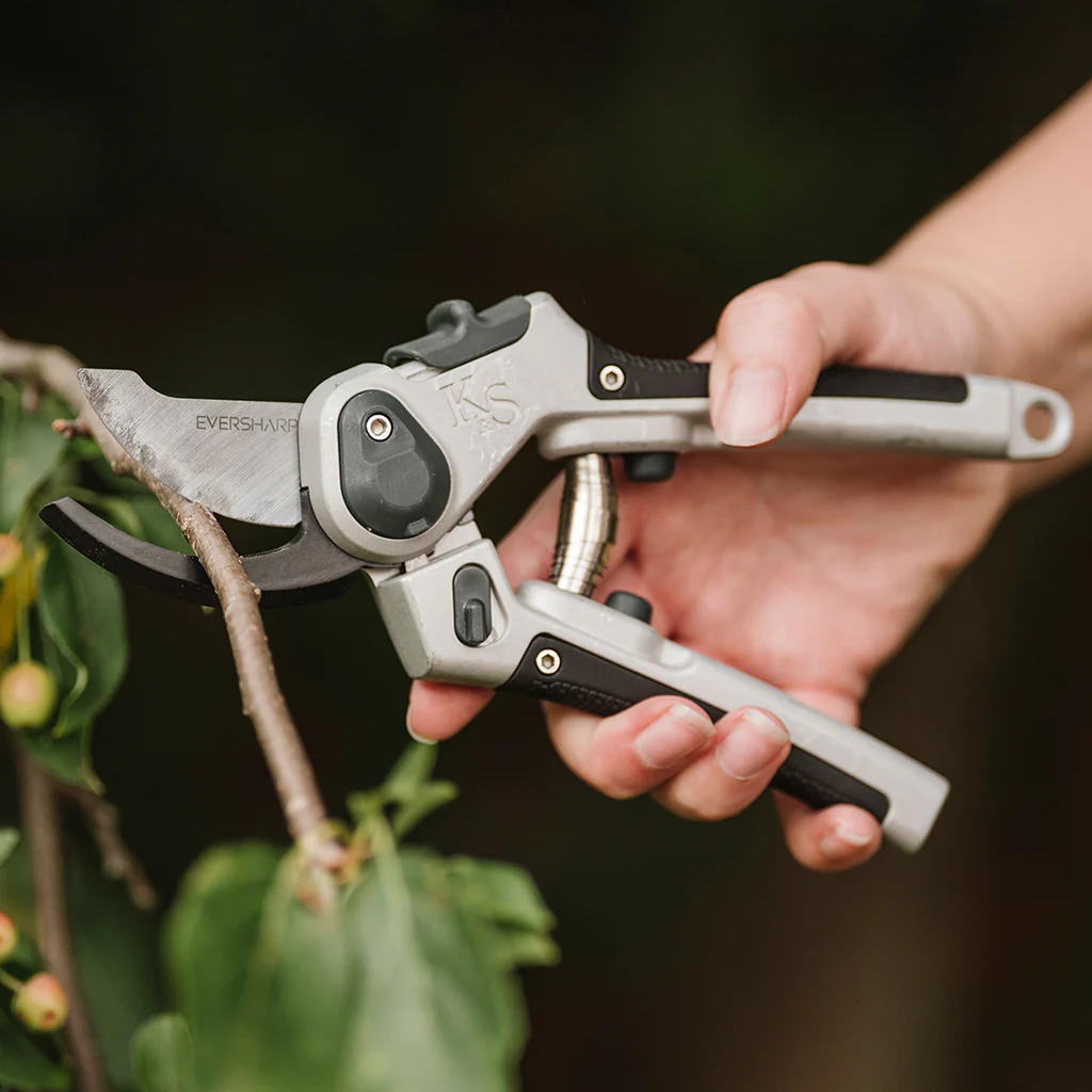Kent & Stowe Eversharp Hardwood Anvil Secateurs - Image 5
