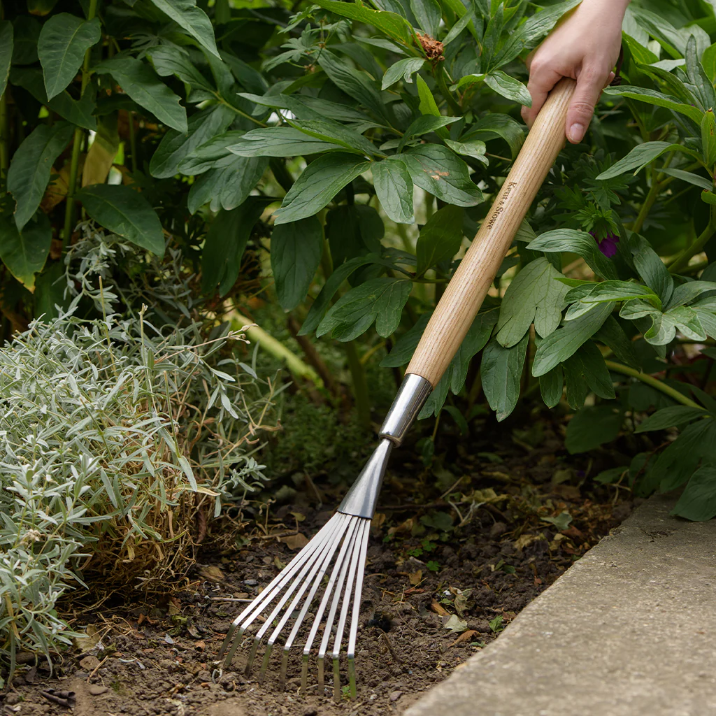 Kent & Stowe Stainless Steel Border Hand Shrub Rake - Image 2
