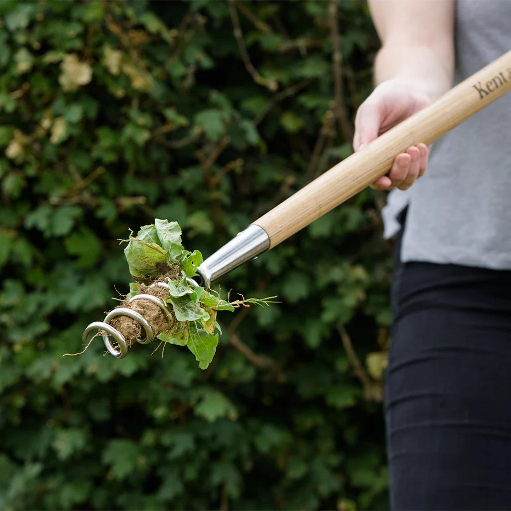 Kent & Stowe Stainless Steel Long Handled Corkscrew Weeder - Image 4