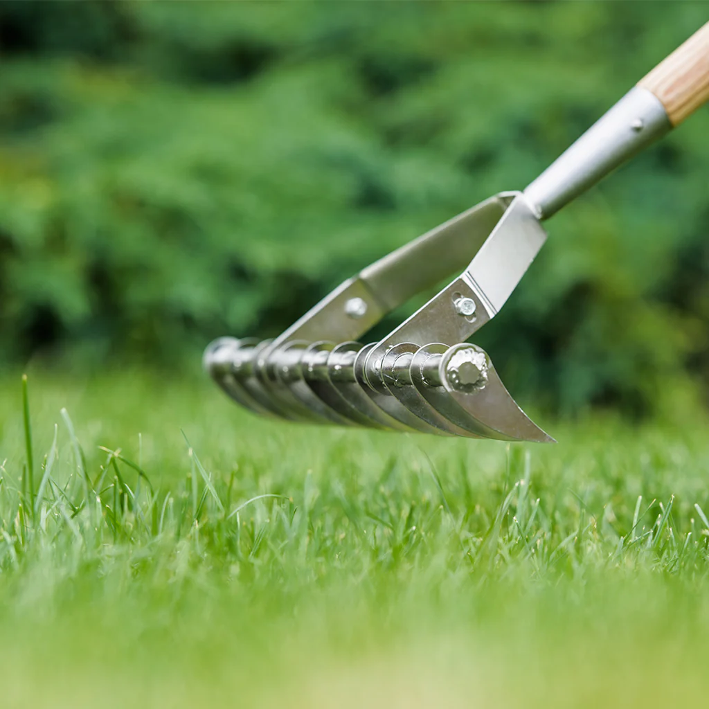 Kent & Stowe Stainless Steel Scarifying Rake - Image 4