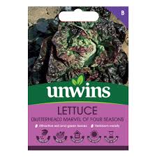 Lettuce (Butterhead) Marvel Of Four Seasons
