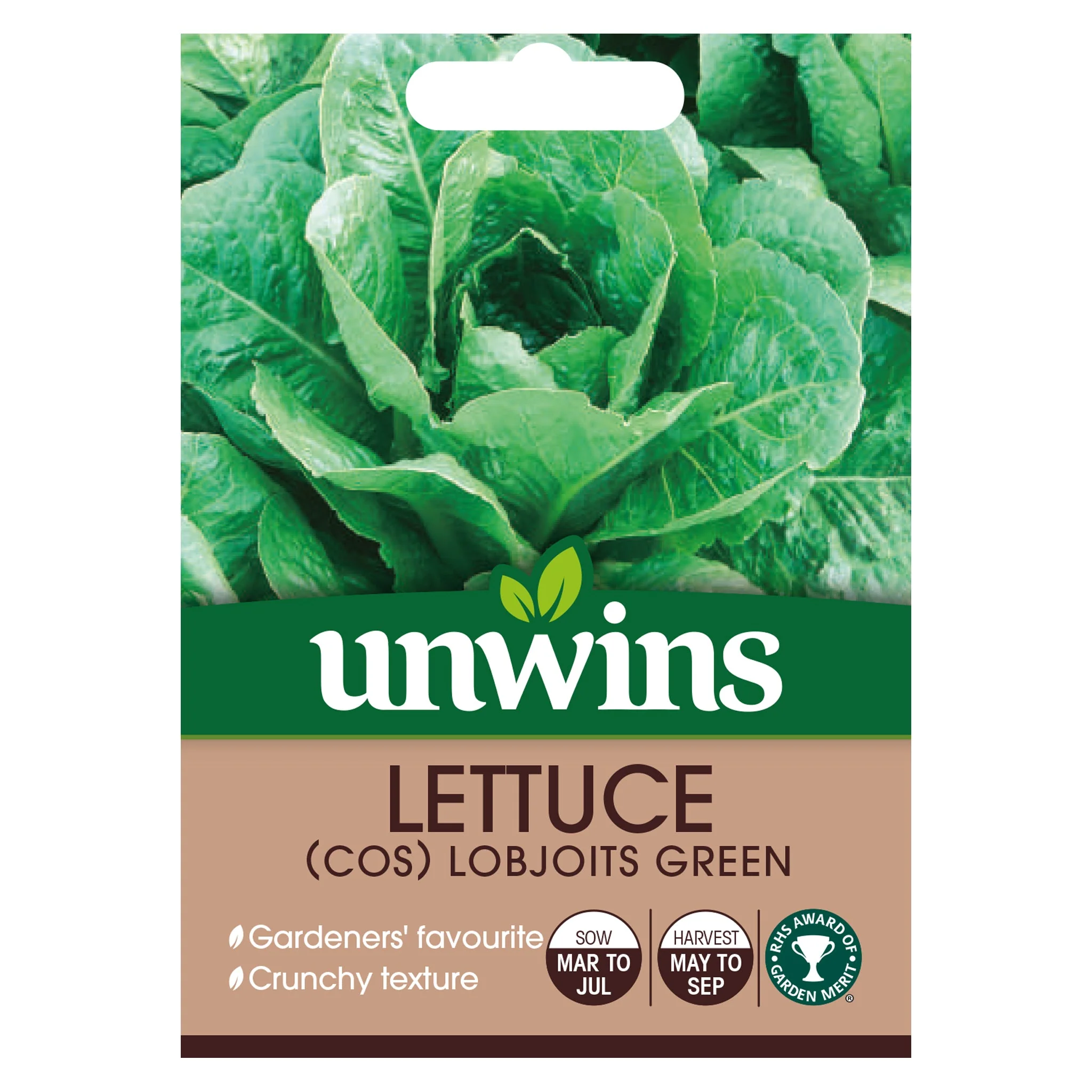Lettuce Cos Lobjoits Green
