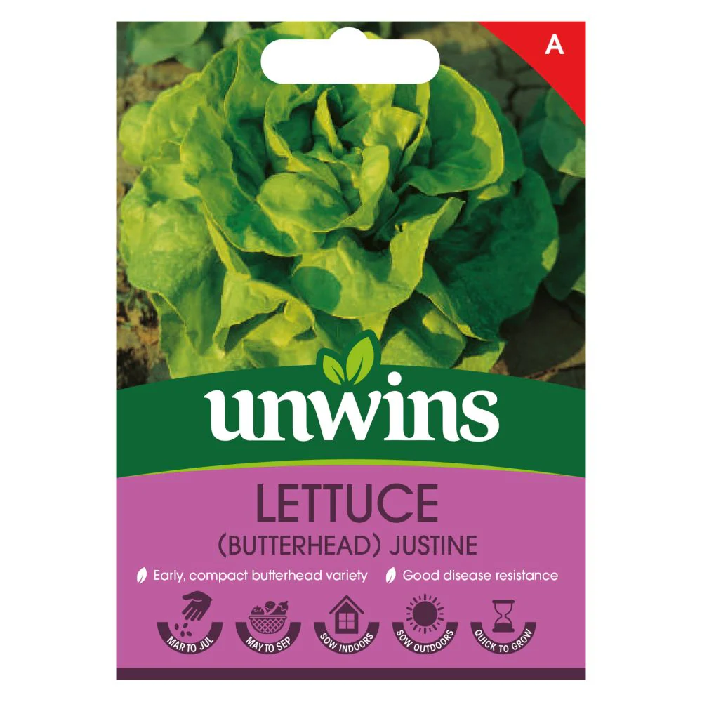Lettuce Justine (Butterhead)