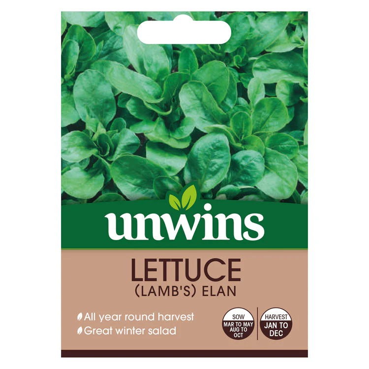 Lettuce (Leaves) (Lamb's) Elan