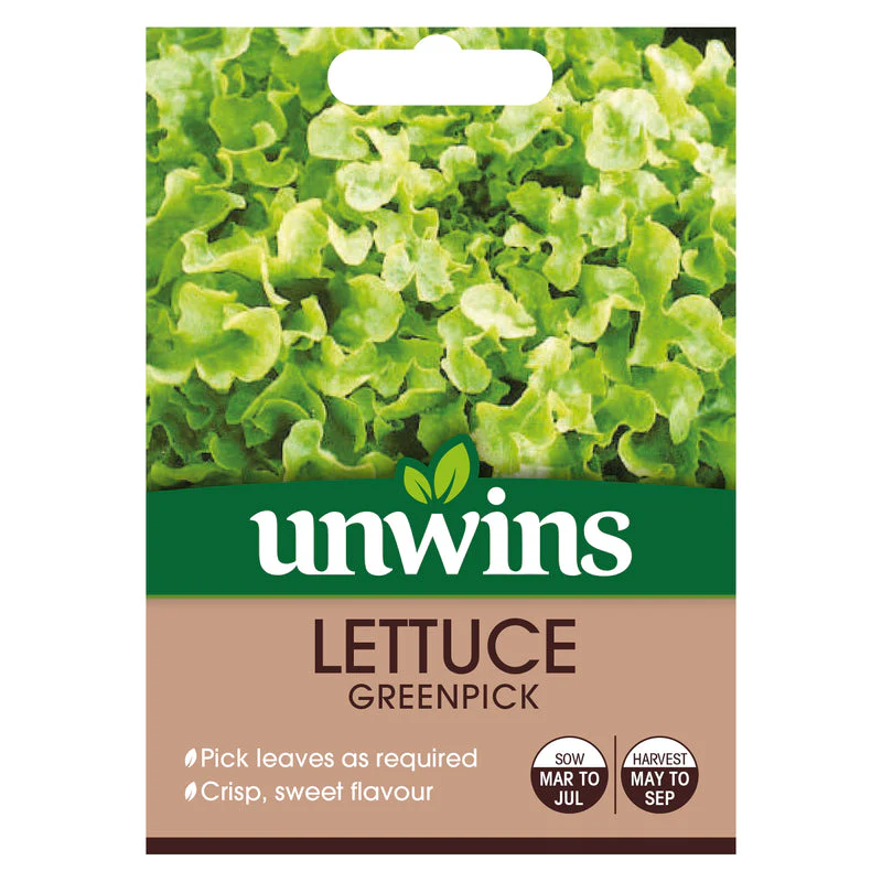 Lettuce (Loose) Greenpick