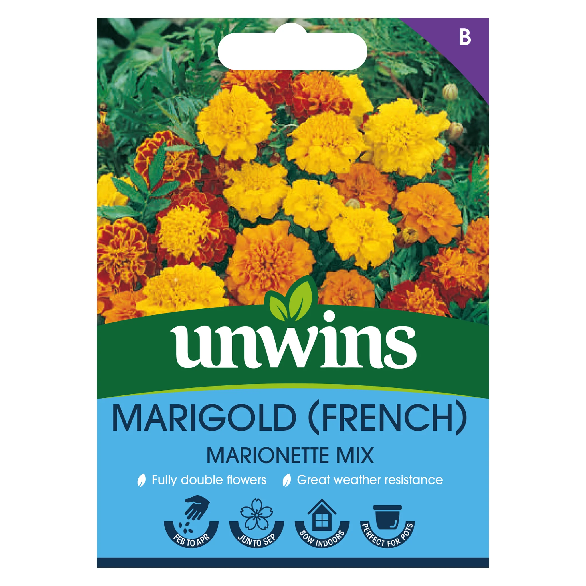 Marigold French Marionette Mix
