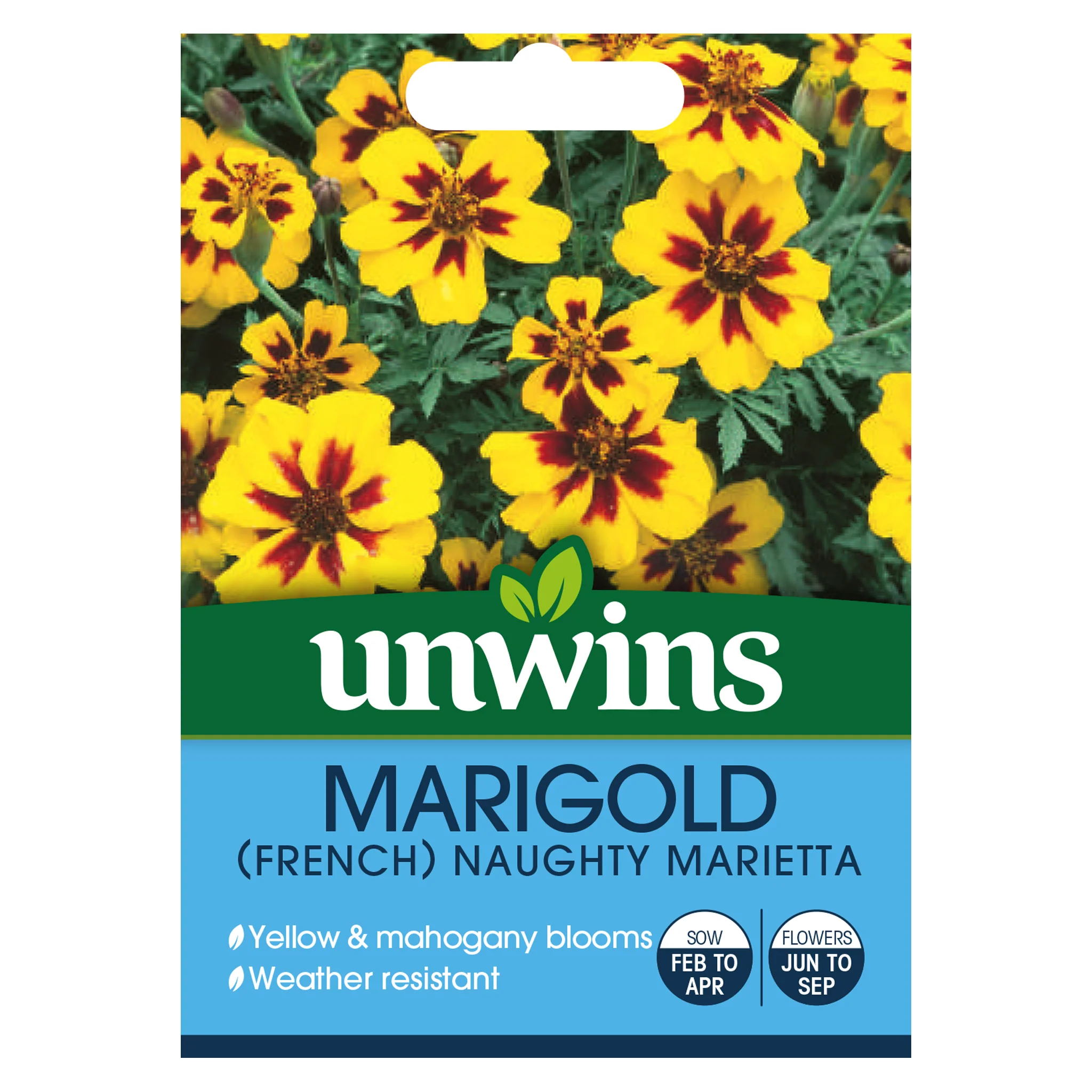 Marigold French Naughty Marietta