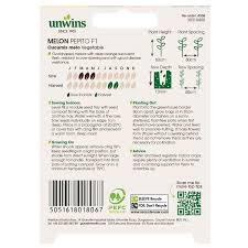 Melon Pepito F1 Gro-Sure Veg - Image 2