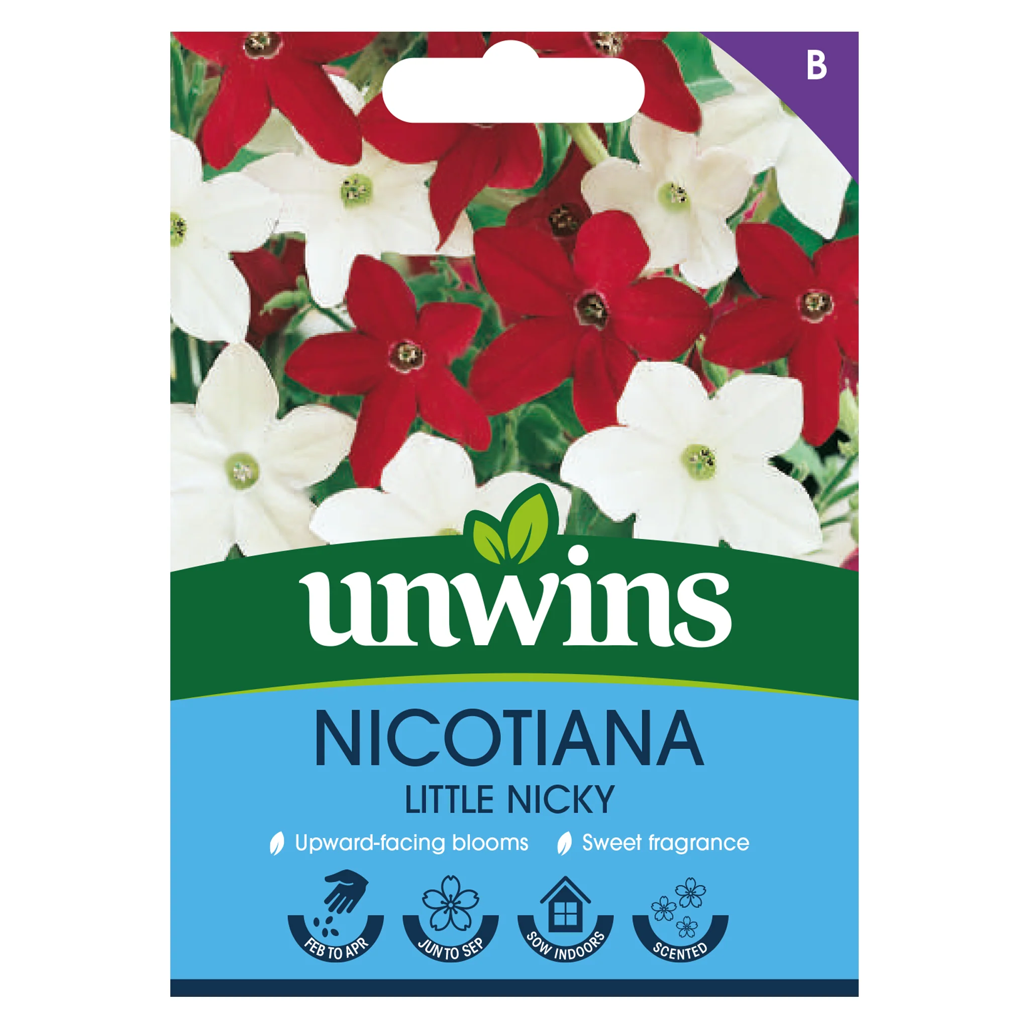 Nicotiana Little Nicky