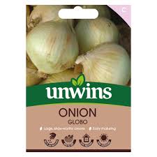 Onion Globo