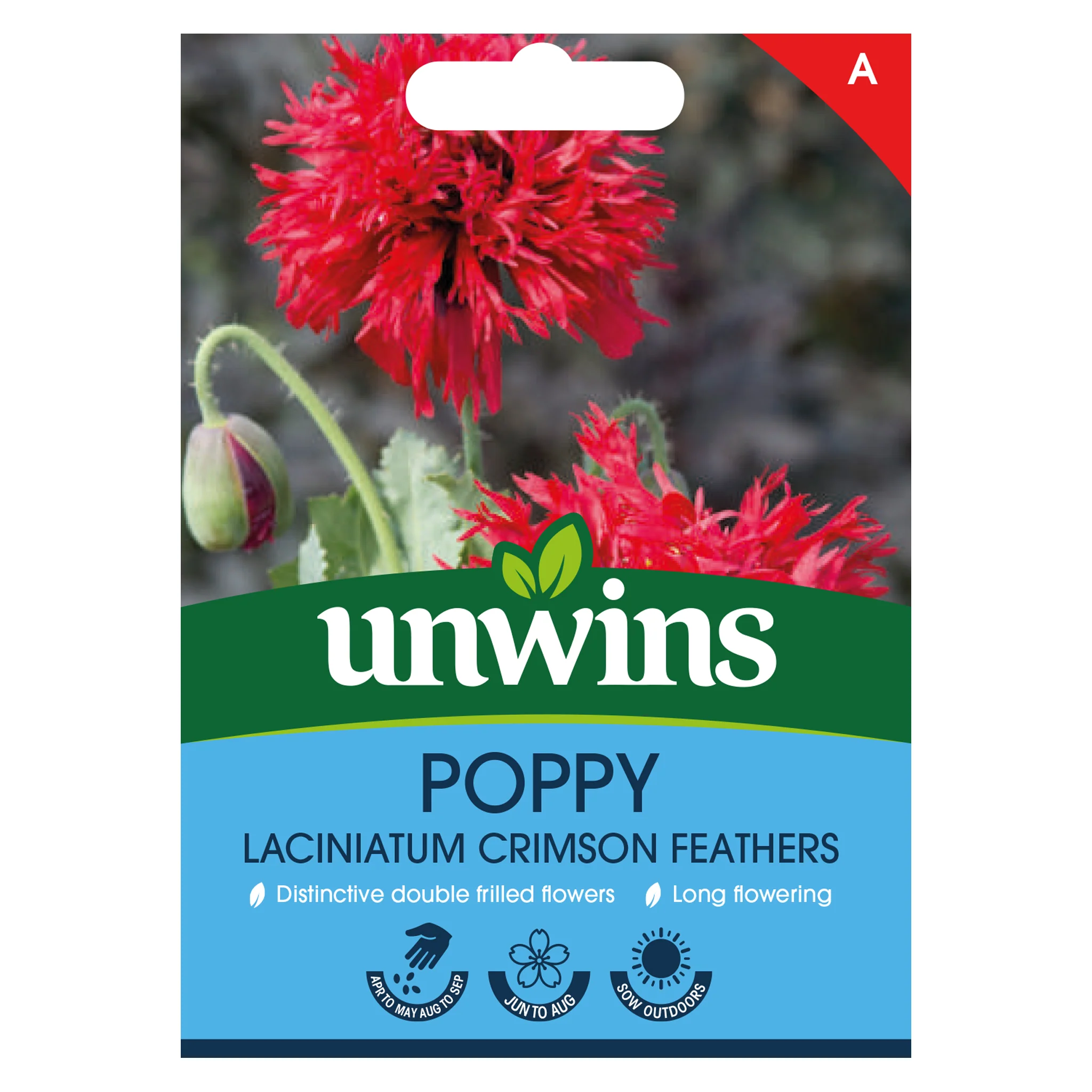 Poppy (laciniatum) Crimson Feathers