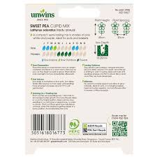 Sweet Pea Cupid Mix - Image 2