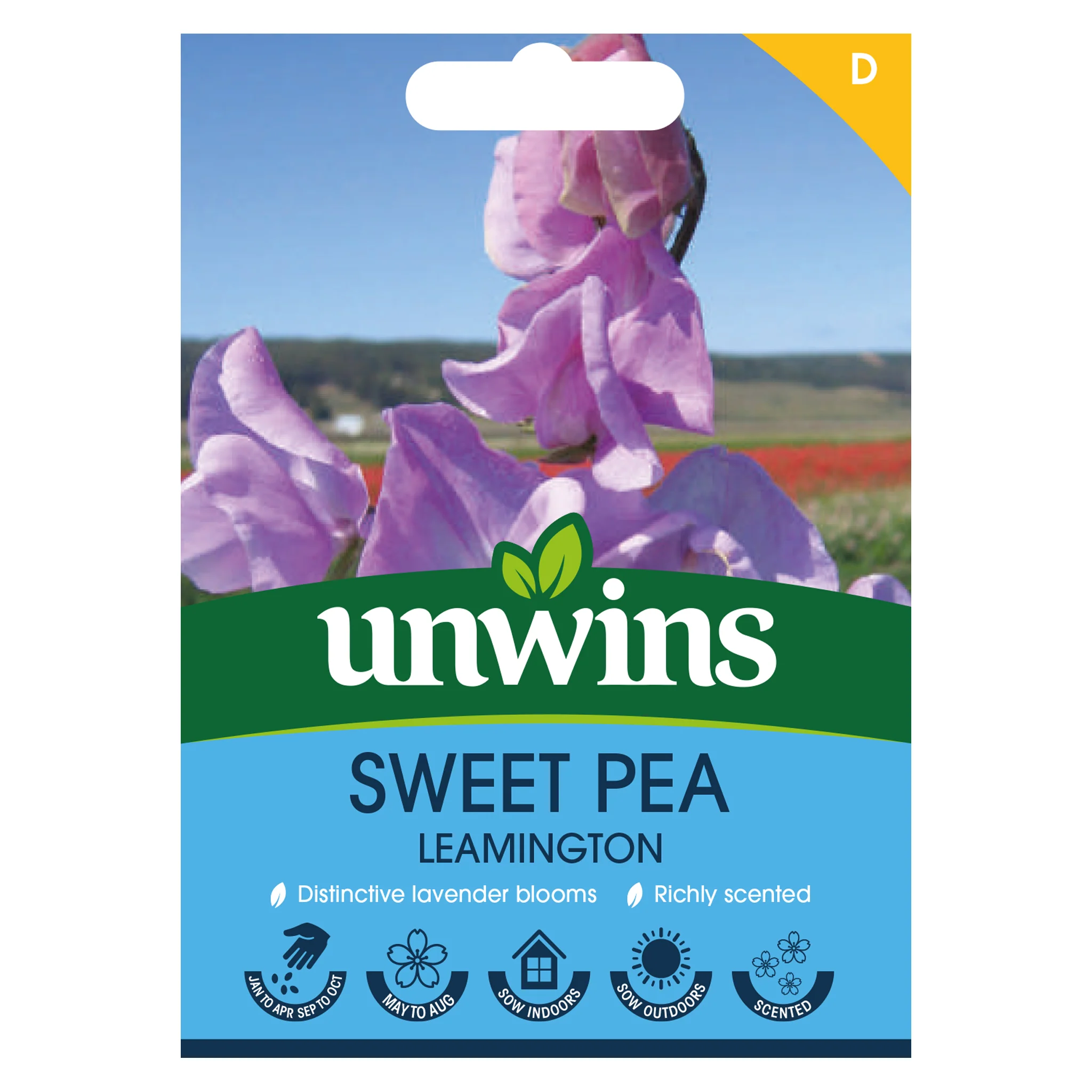 Sweet Pea Leamington