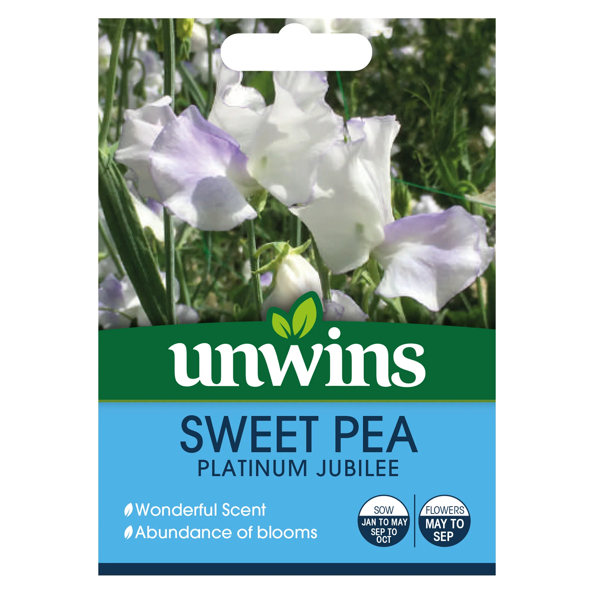 Sweet Pea Platinum Jubilee